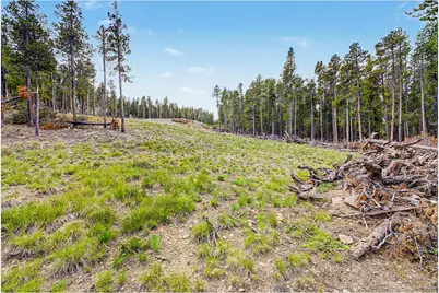 52 Meadowlake Dr, Black Hawk, CO 80422 - Photo 8