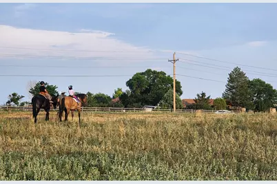 3631 N County Road 19, Fort Collins, CO 80524 - Photo 1