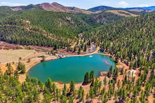 16687 Ouray Rd W, Pine, CO 80470 - Photo 22