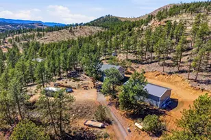 16687 Ouray Rd W, Pine, CO 80470 - Photo 24