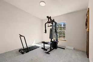 39 Mt Sherman Ct, Livermore, CO 80536 - Photo 32