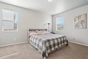 3622 Torch Lily St, Wellington, CO 80549 - Photo 12