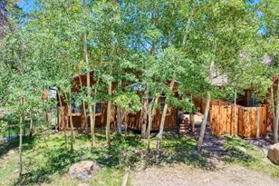 253 W Breed St, Nederland, CO 80466 - Photo 24
