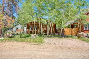 253 W Breed St, Nederland, CO 80466 - Photo 22