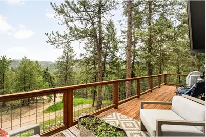 257 Lo Meadow Ln, Bailey, CO 80421 - Photo 38