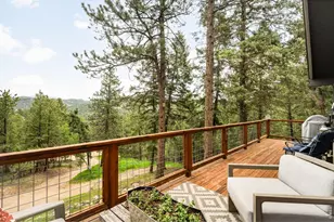 257 Lo Meadow Ln, Bailey, CO 80421 - Photo 38