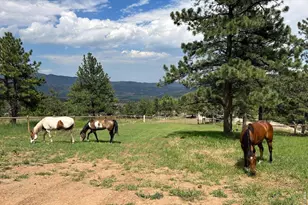 1893 Colard Ln, Lyons, CO 80540 - Photo 36