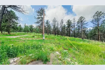 179 Green Ridge Rd, Drake, CO 80515 - Photo 6