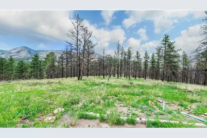 179 Green Ridge Rd, Drake, CO 80515 - Photo 8