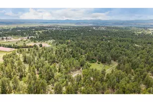 10231 Democrat Rd, Parker, CO 80134 - Photo 48