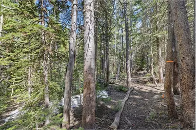 1199 Brainard Lake Rd, Ward, CO 80481 - Photo 12