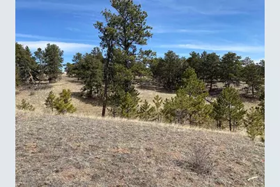 0 Stub Ct, Livermore, CO 80536 - Photo 22