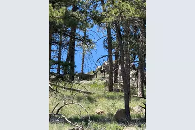 1989 Spencer Mountain Rd, Bellvue, CO 80512 - Photo 42