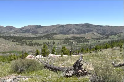 1989 Spencer Mountain Rd, Bellvue, CO 80512 - Photo 28