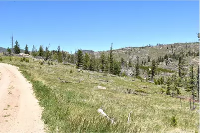 1989 Spencer Mountain Rd, Bellvue, CO 80512 - Photo 32