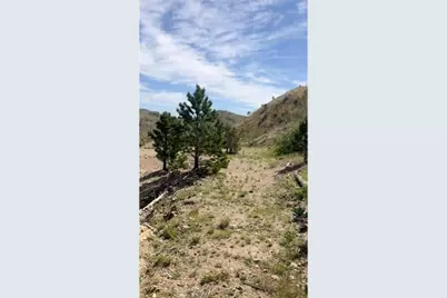 1820 County Road 87J, Jamestown, CO 80302 - Photo 26