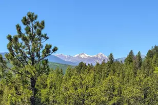 212 Elk Pl, Black Hawk, CO 80422 - Photo 34