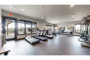6236 Vernazza Way, Windsor, CO 80550 - Photo 48