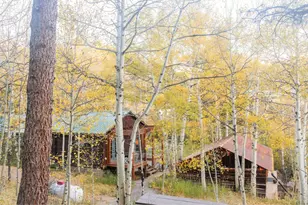 1087 Hwy 7 Bus Rte, Allenspark, CO 80510 - Photo 48