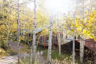 1087 Hwy 7 Bus Rte, Allenspark, CO 80510 - Photo 8