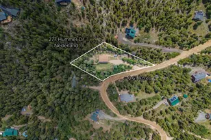 277 Hummer Dr, Nederland, CO 80466 - Photo 40