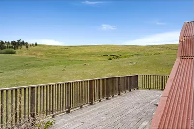 260 Coyote Holler Way, Livermore, CO 80536 - Photo 20