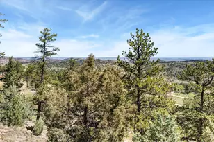 298 Mt Massive Dr, Livermore, CO 80536 - Photo 42