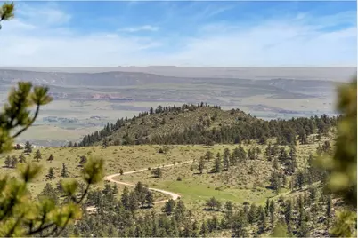 298 Mount Massive Dr, Livermore, CO 80536 - Photo 40