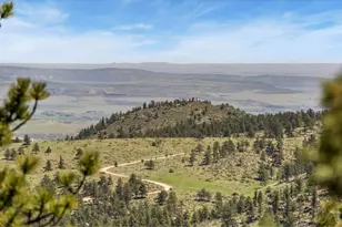 298 Mt Massive Dr, Livermore, CO 80536 - Photo 40