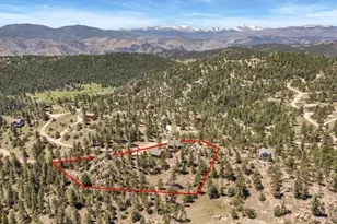 298 Mt Massive Dr, Livermore, CO 80536 - Photo 2