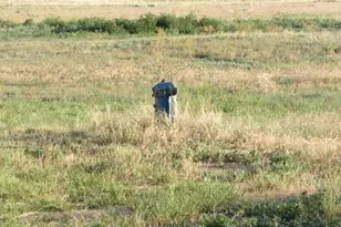 398 Co Rd I, Wiggins, CO 80654 - Photo 12