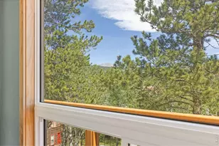 38 E Pine St, Nederland, CO 80466 - Photo 10