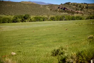 10231 Buckhorn Ridge Way, Loveland, CO 80538 - Photo 1