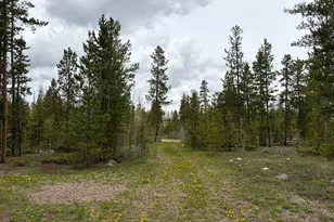 25 Aspen Dr, Walden, CO 80480 - Photo 36
