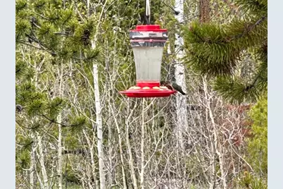 25 Aspen Dr, Walden, CO 80480 - Photo 28