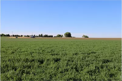 18547 County Road 13, Johnstown, CO 80534 - Photo 32