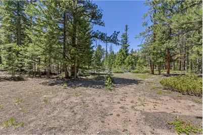 0 Magnolia Dr, Nederland, CO 80466 - Photo 6