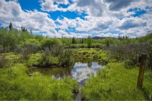 61 Tawakoni Ct, Red Feather Lakes, CO 80545 - Photo 40