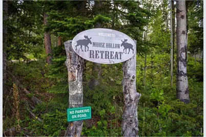 61 Tawakoni Ct, Red Feather Lakes, CO 80545 - Photo 46