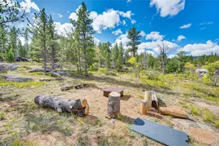 61 Tawakoni Ct, Red Feather Lakes, CO 80545 - Photo 32