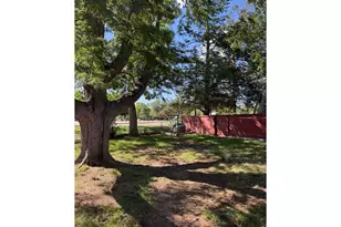 1405 Robertson St, Fort Collins, CO 80524 - Photo 6