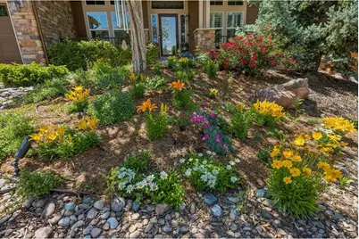 1505 Stonehill Ct, Castle Rock, CO 80104 - Photo 6