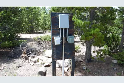 350 Natchez Cir, Red Feather Lakes, CO 80545 - Photo 6