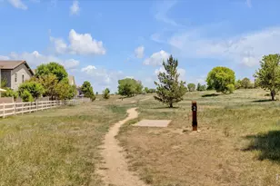 3855 Beechwood Ln, Johnstown, CO 80534 - Photo 46