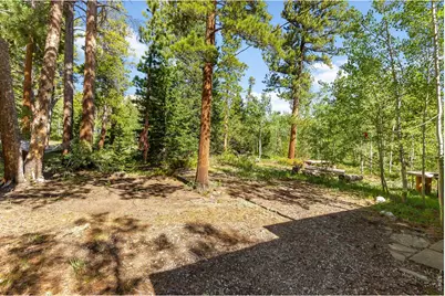 11614 Peak To Peak Hwy, Allenspark, CO 80510 - Photo 28