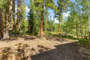 11614 Peak To Peak Hwy, Allenspark, CO 80510 - Photo 28