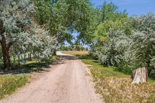 6291 County Rd 20, Longmont, CO 80504 - Photo 4