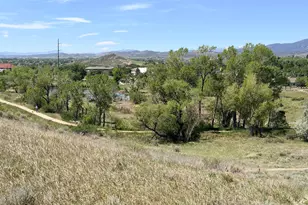 2049 Basalt Ct, Loveland, CO 80538 - Photo 30