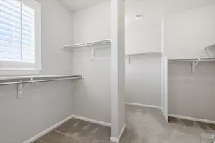 5504 Sugar Loaf Ct, Timnath, CO 80547 - Photo 20