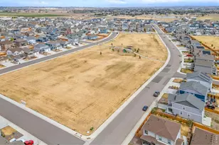 14553 Holstein Dr, Mead, CO 80542 - Photo 40